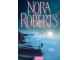 Rajli - Nora Roberts slika 1
