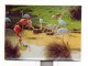 Razglednica 3D životinje flamingos, roda, koala, 3 kom slika 1
