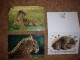 Razglednica životinje, jaguar, slon i tigar, 3 kom slika 1