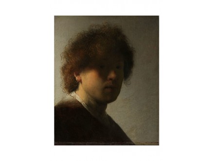 Rembrandt Van Rijn / Rembrant reprodukcija A3