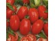 Rio Grande paradajz (seme) slika 1