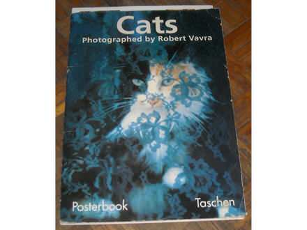 Robert Vavra: Cats, posteri