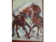 S.Veličković:`Konji vrani`, uramljeno 40x50 cm. slika 2