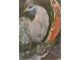 ŠAGAL  / Marc Chagall - The Cock (1947) slika 1