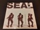 SEAL - The Beginning (near mint) slika 1
