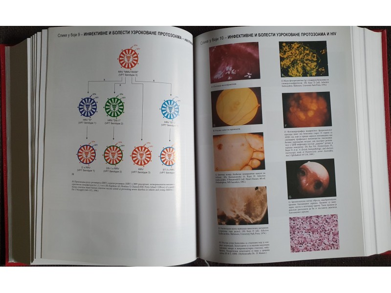 SESIL - Udžbenik interne medicine 2 knjiga druga NOVO