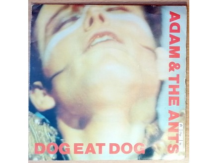 SP ADAM AND THE ANTS - Dog Eat Dog (1980) UK, odlična
