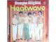 SP HEATWAVE - Boogie Nights (1977) 4. press, ODLIČNA slika 2