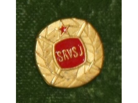 SRVSJ-4.