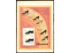SVIJET casopis - cipele BATA reklama ART DECO 1931 slika 2