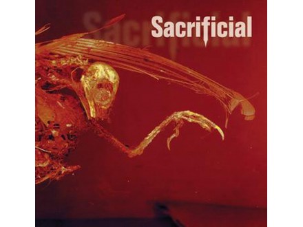 Sacrificial ‎– Autohate