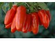 San Marzano lungo paradajz (seme) heirloom 100kom slika 1
