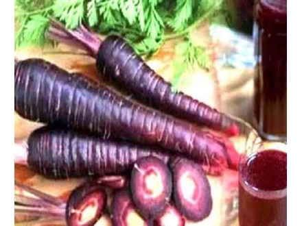 Šargarepa `Morada`, 100 semena