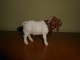 Schleich - Billy Boer Goat slika 1