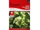 Seme 5 kesica - Zelena salata dalmatinska ledenka -  Lactuca sativa L. 361 slika 1