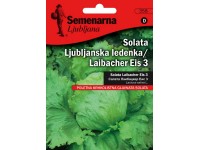 Seme - Zelena salata ljubljanska ledenka -  Lactuca sativa L. 354