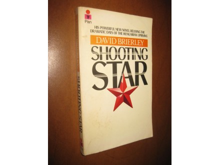 Shooting Star - David Brierley