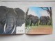 Slikovnica  -  Najlepše životinje tople Afrike slika 3