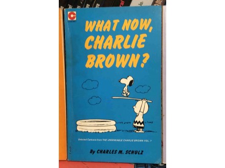 Snoopy 32 - What now, Charlie Brown?