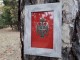 Srpski grb plaketa u ramu za zid ali i za policu slika 2