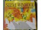 Steve Winwood - Talking Back To The Night slika 1