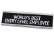 Stona dekoracija - Worlds Best Entry Level Employee slika 1