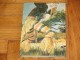 TARZAN i njegove životinje - Edgar Rice Burroughs slika 3