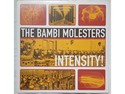 THE  BAMBI  MOLESTERS  -  INTENSITY (Novo !!!)