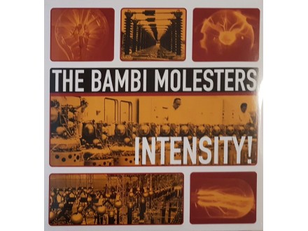THE BAMBI MOLESTERS - INTENSITY