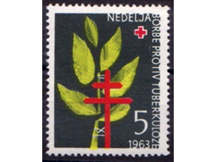 TUBERKULOZA 1963