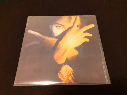 Terence Trent D`Arby (near mint)