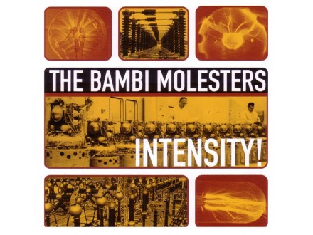 The Bambi Molesters ‎– Intensity!