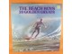 The Beach Boys ‎– 20 Golden Greats, LP slika 1