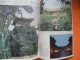 The Forbidden City People’s Fine Arts Publishing House slika 3