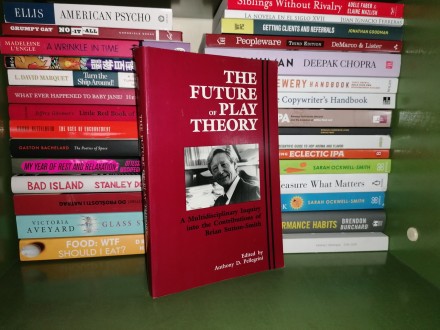 The Future of Play Theory: A Multidisciplinary Inquiry