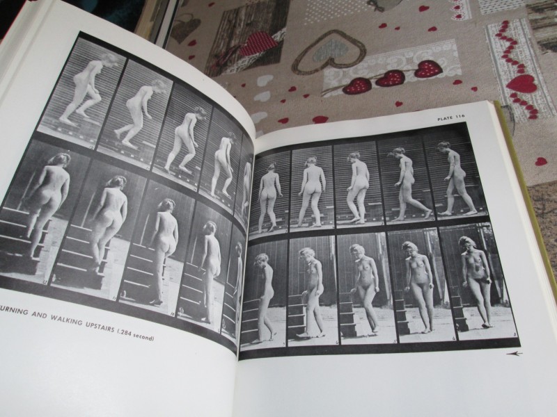 The Human Figure in Motion -  Eadweard Muybridge