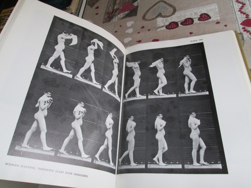 The Human Figure in Motion -  Eadweard Muybridge