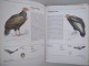 The Illustrated Book Of Birds - J. Felix, K. Hisek slika 3