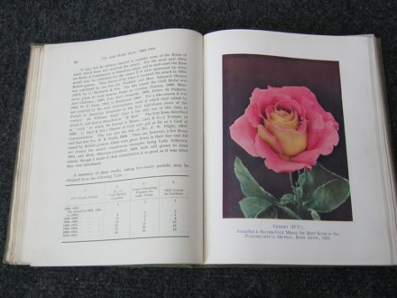 The Rose Annual, 1932.god