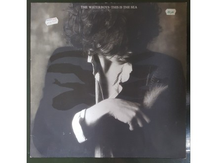 The Waterboys : This is the sea
