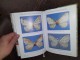 The geometrid moths of Mt. Fruška Gora slika 16