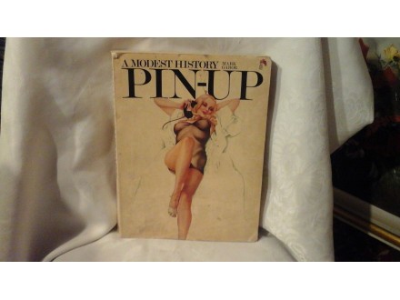 The pin up A modest history PIN UP Mark Gabor