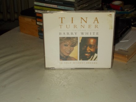 Tina Turner Feat. Barry White ‎– In Your Wildest Dreams