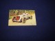 Trkaci automobil Napier-Railton,color razglednica,1960. slika 1