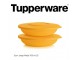 Tupperware tanjir sa poklopcem Nova klasika slika 2
