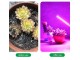 USB UV LED lampa za rast biljaka slika 1