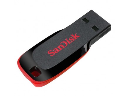 USB flash SanDisk 16GB