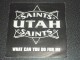 Utah Saints - What Can You Do To Me slika 1