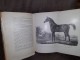 Uzgoj arapskih čistokrvnih konja 1898g.- na nemačkom slika 6