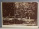 V R Š A C -vodoskok u perivoju-1930/40   (VI-11) slika 1